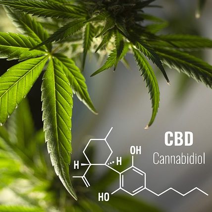 Kannabinoidy