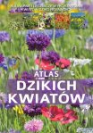 Z łąki na stół i do apteczki