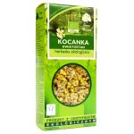 Kocanki piaskowe